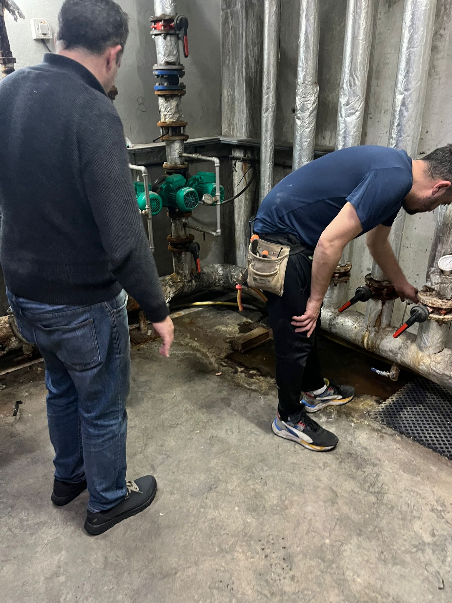 3edb66f3-b345-4e6a-b350-bf6b0c867682