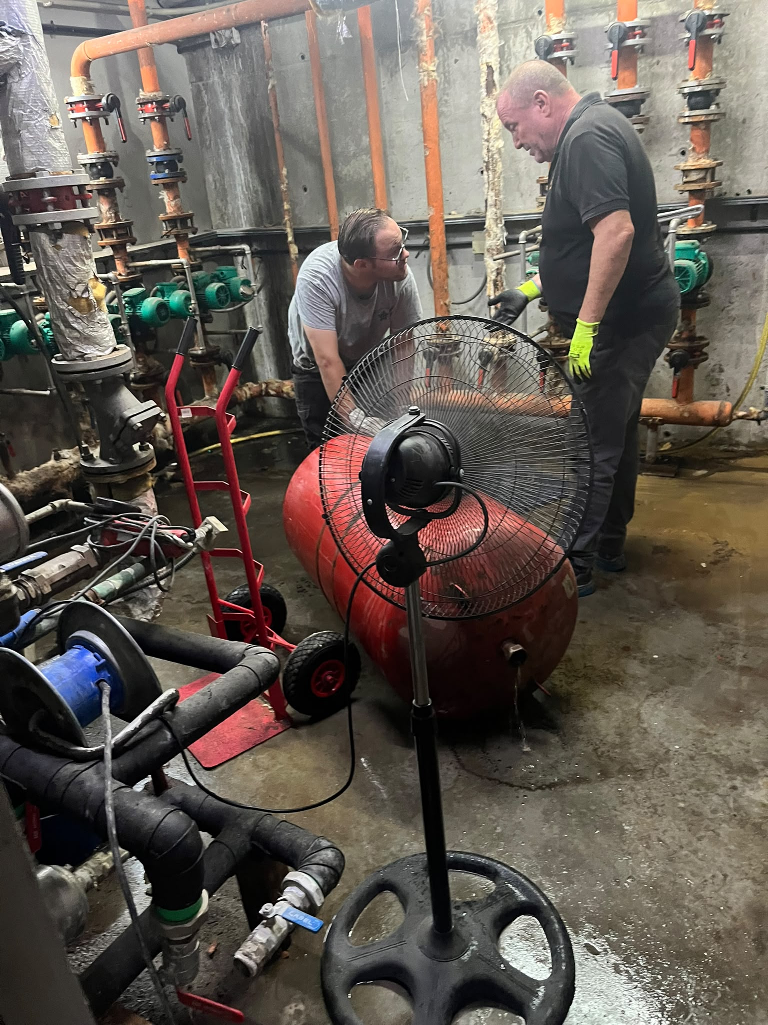 Comienzan los trabajos de mejora en la piscina cubierta municipal