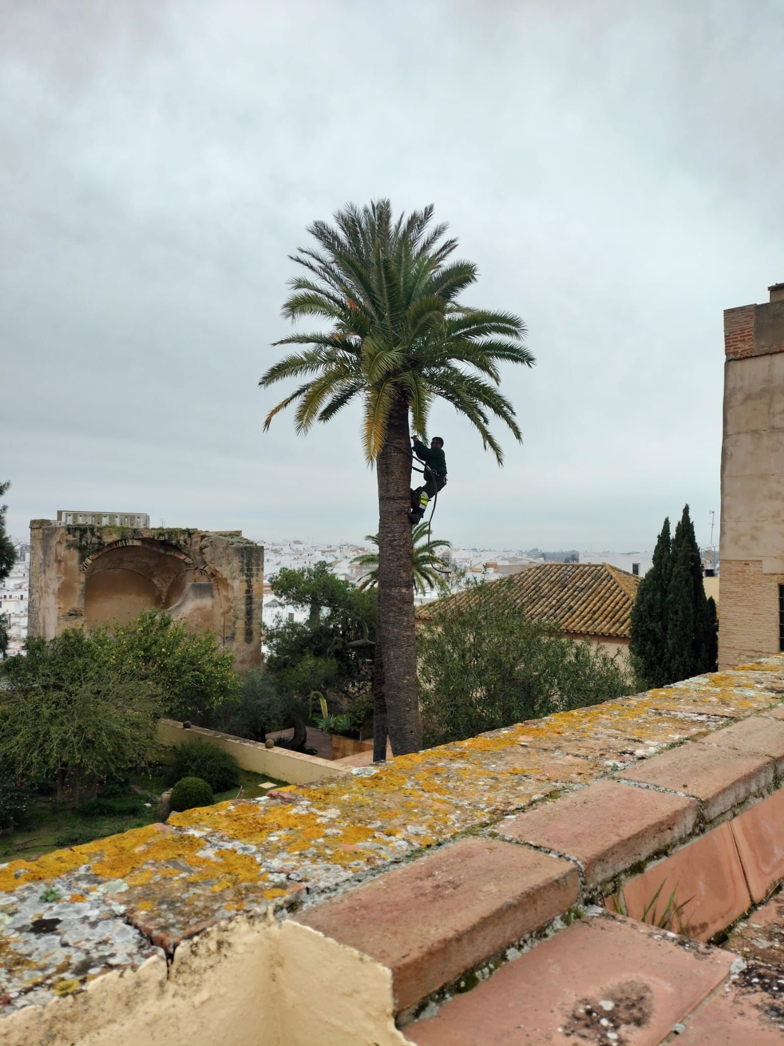 0a3abbd0-b02c-47f1-ac17-12fa6e5e709a