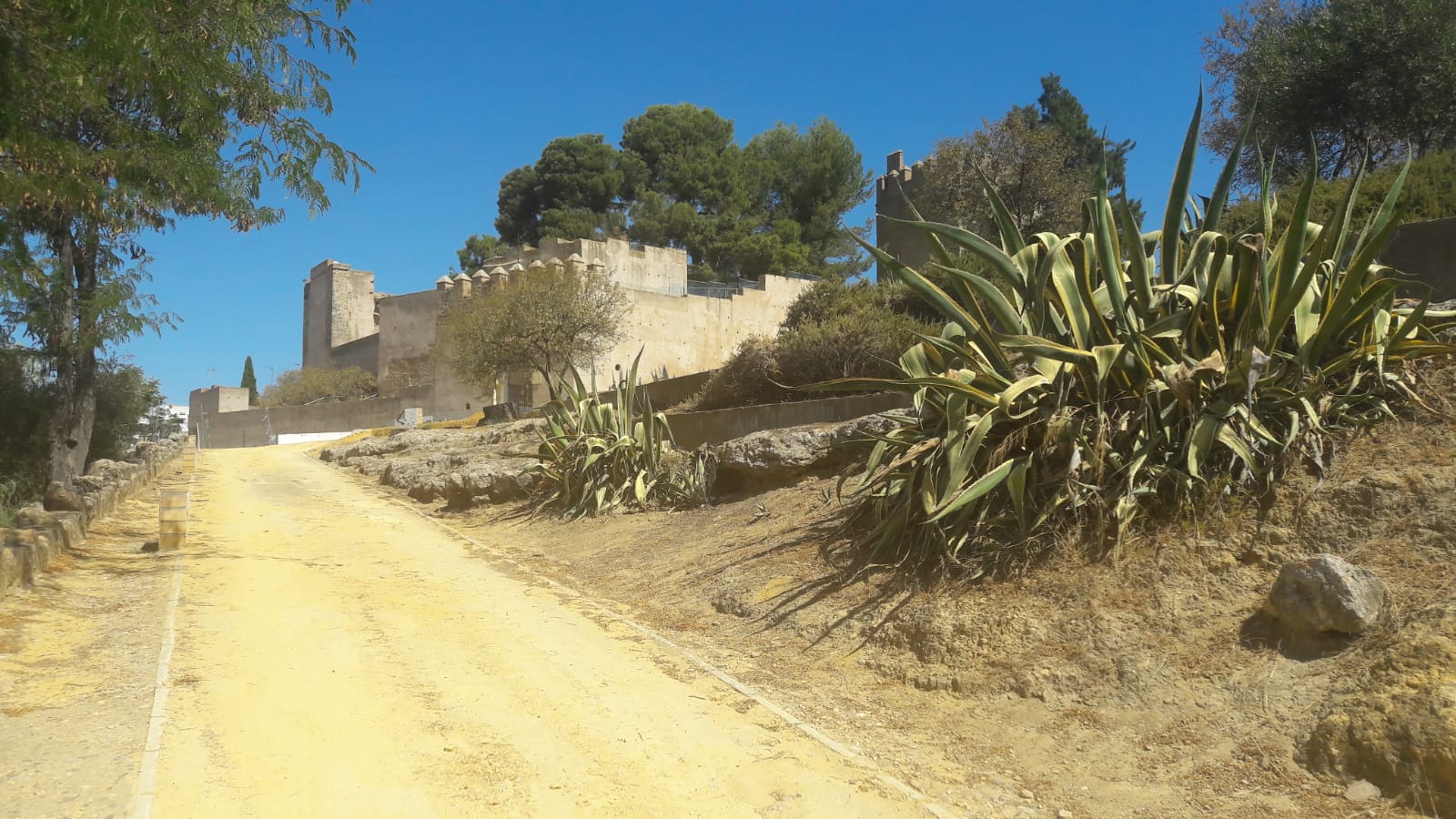 IMAG_2020-09-09 at 14.25.42