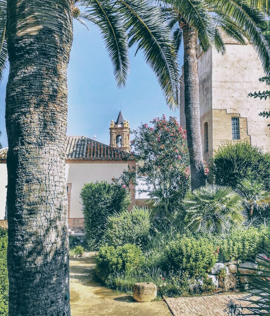 IMG-20170818-WA0059-01