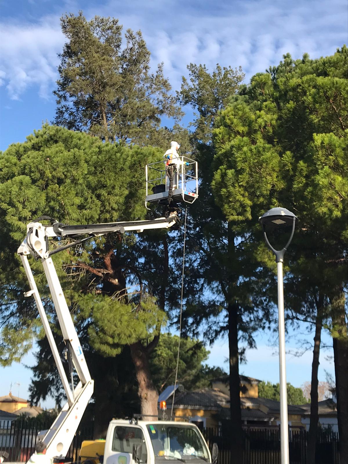 WhatsApp Image 2020-03-05 at 09.23.44 (2)