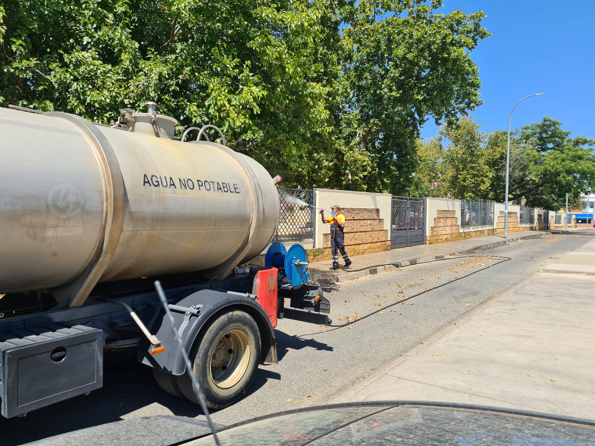 WhatsApp Image 2021-07-16 at 08.00.56 (1)