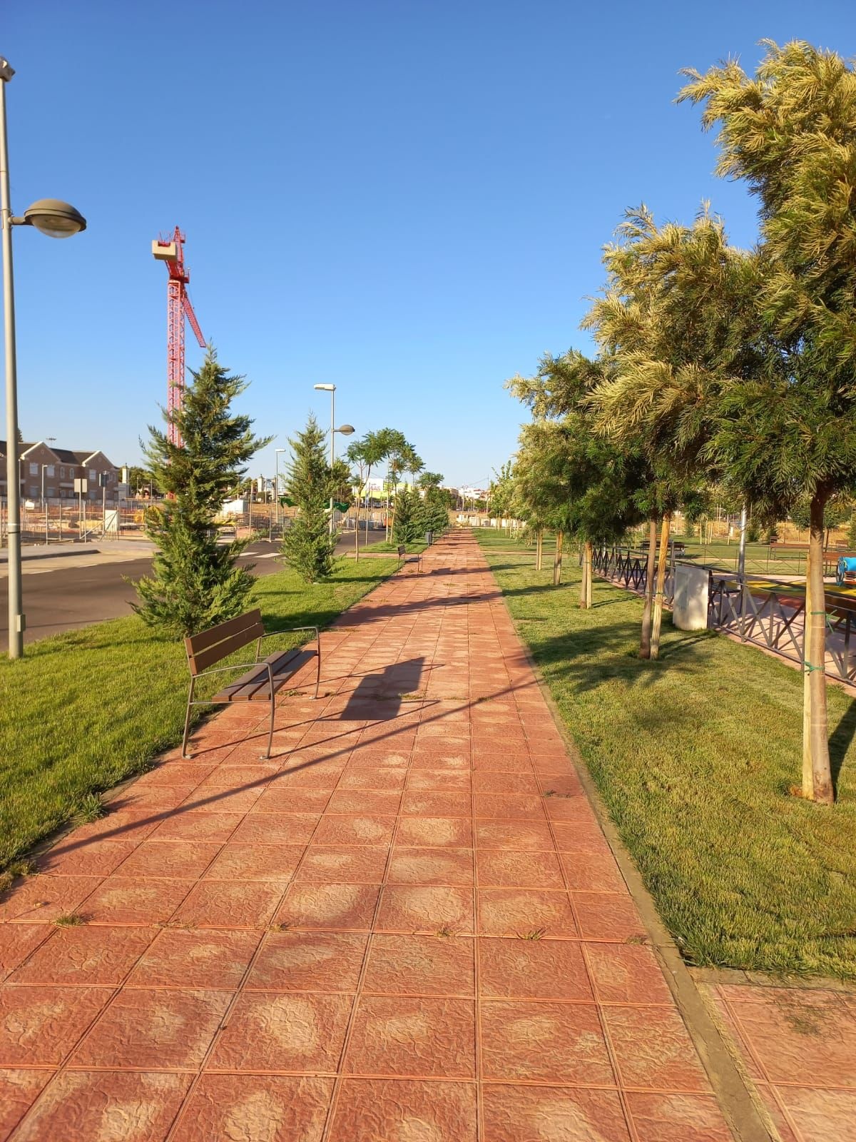 WhatsApp Image 2021-08-04 at 20.37.42 (2)