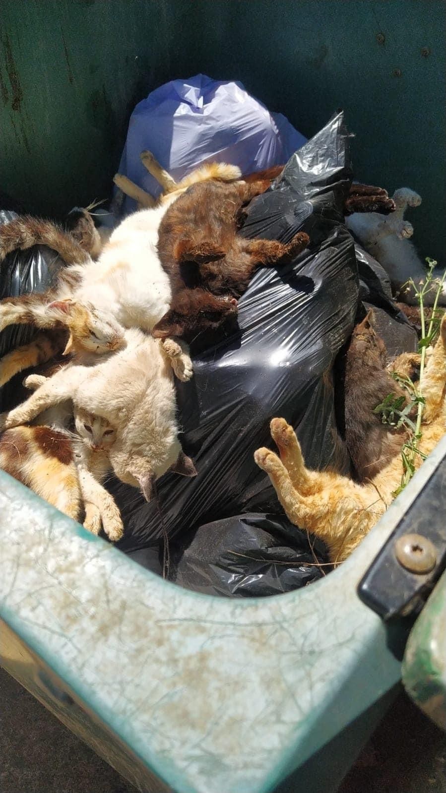 WhatsApp Image 2023-04-27 at 14.00.31