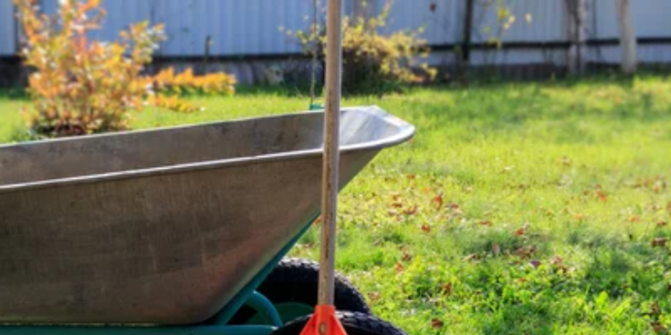 Limpieza de solares, corrales y casas deshabitadas para garantizar la seguridad y la higiene