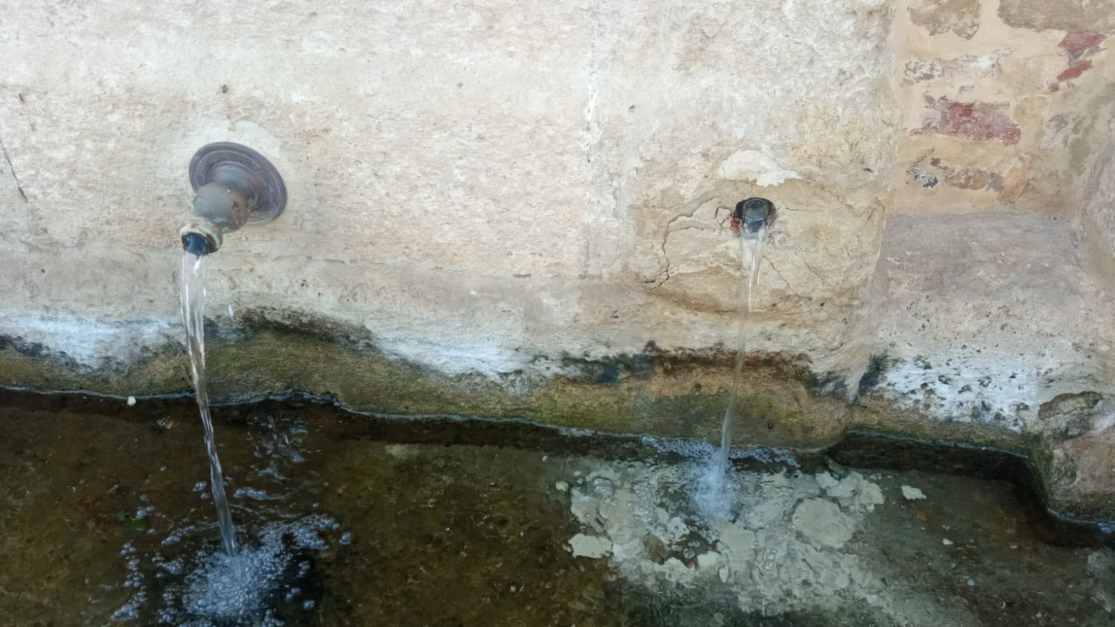 514350458_1041347488116451_6779538777772909106_n