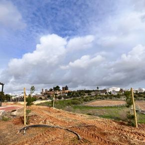 866a03fe-a1f4-4513-ae74-9f7af8b39a62