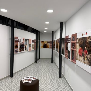 916153c5-919e-4d84-b3e0-95c280069cb2