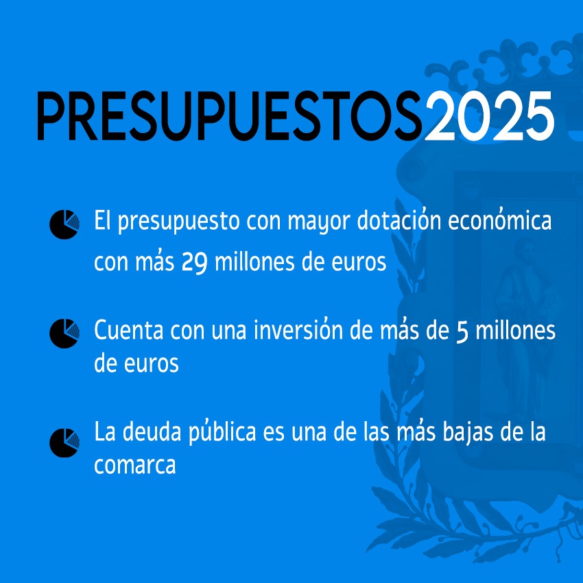 GráficoPresupuesto2025