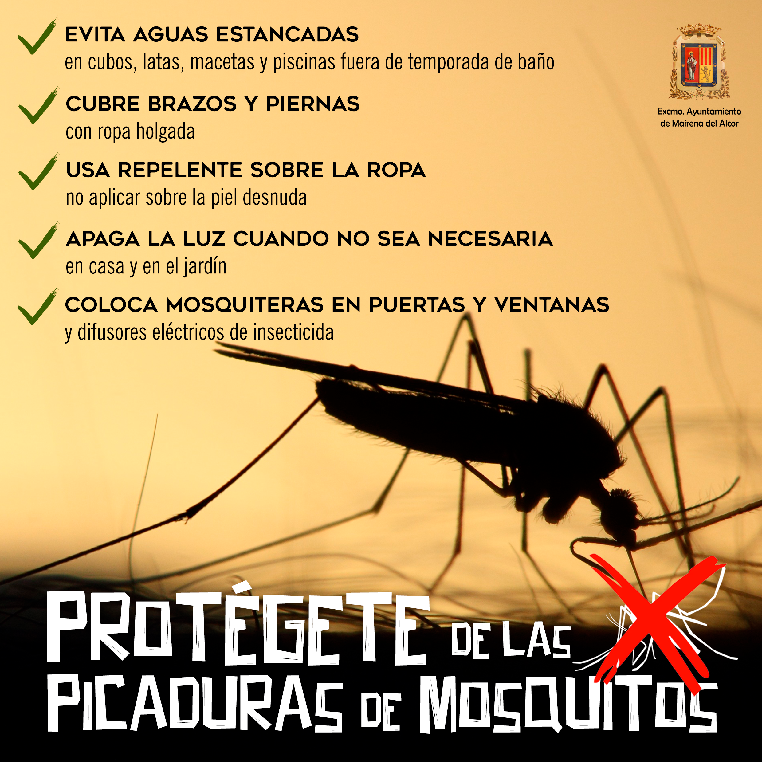 ProtecciónMosquitos2026version2