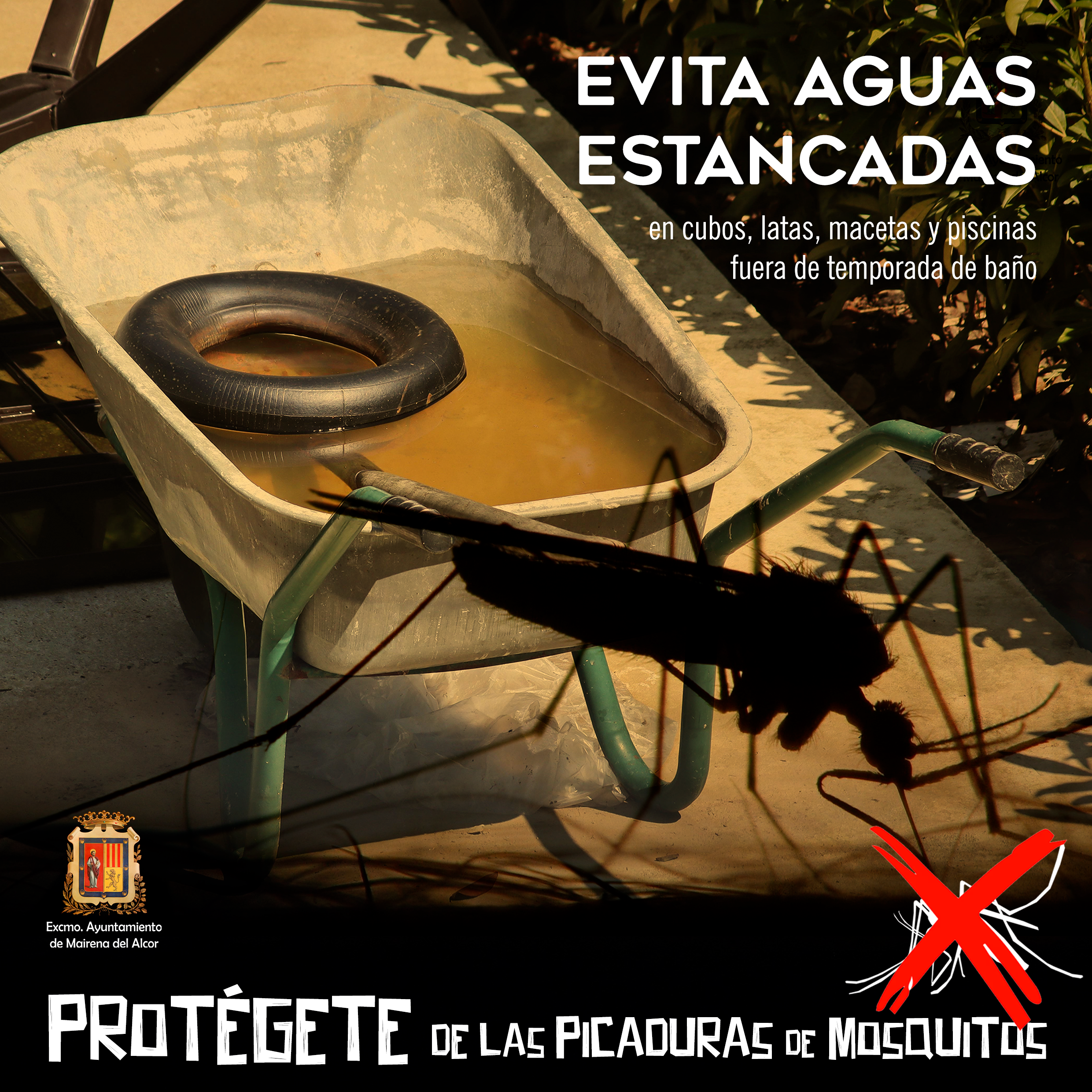 ProtecciónMosquitos2026versionAguasEstancadas