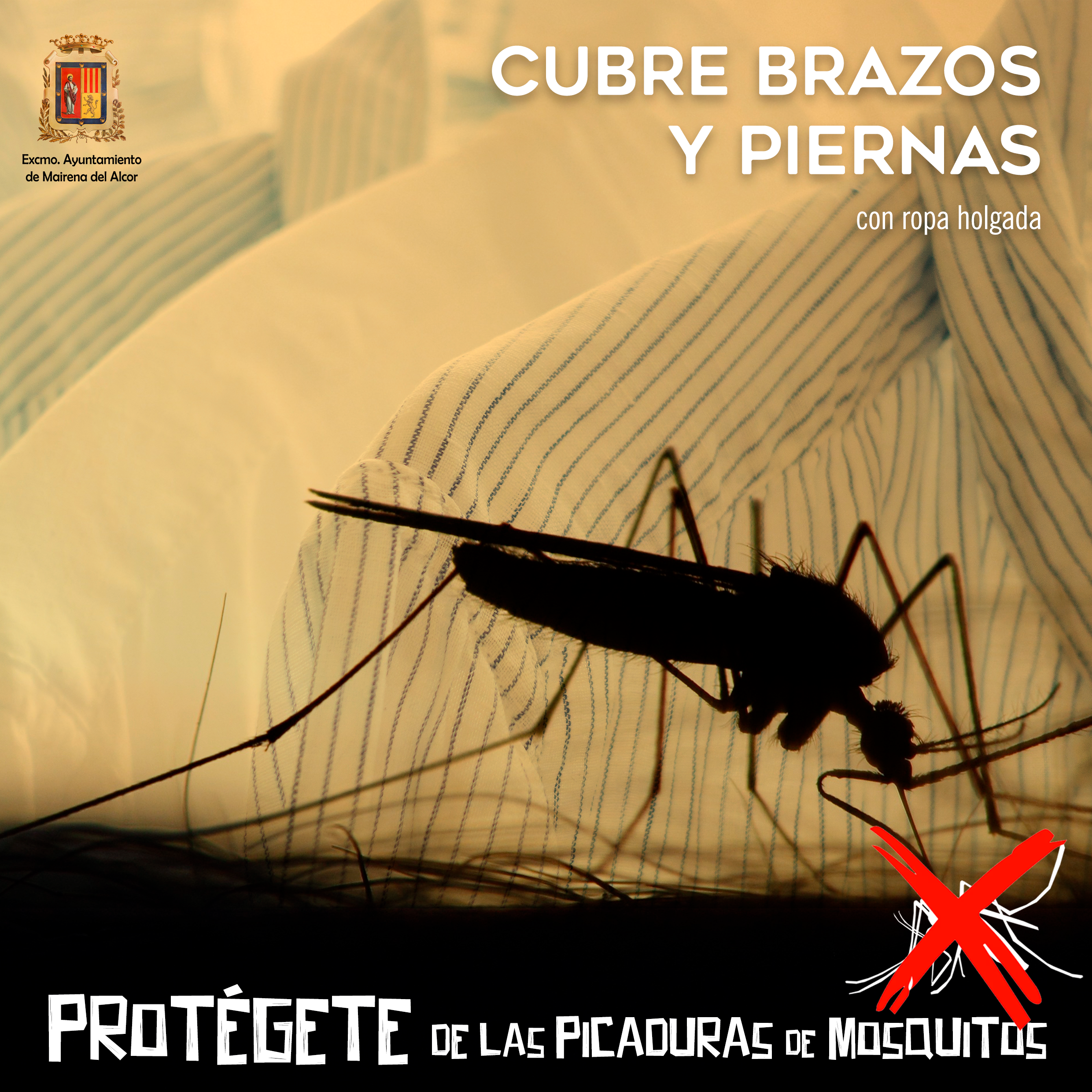 ProtecciónMosquitos2026versionRopaHolgada