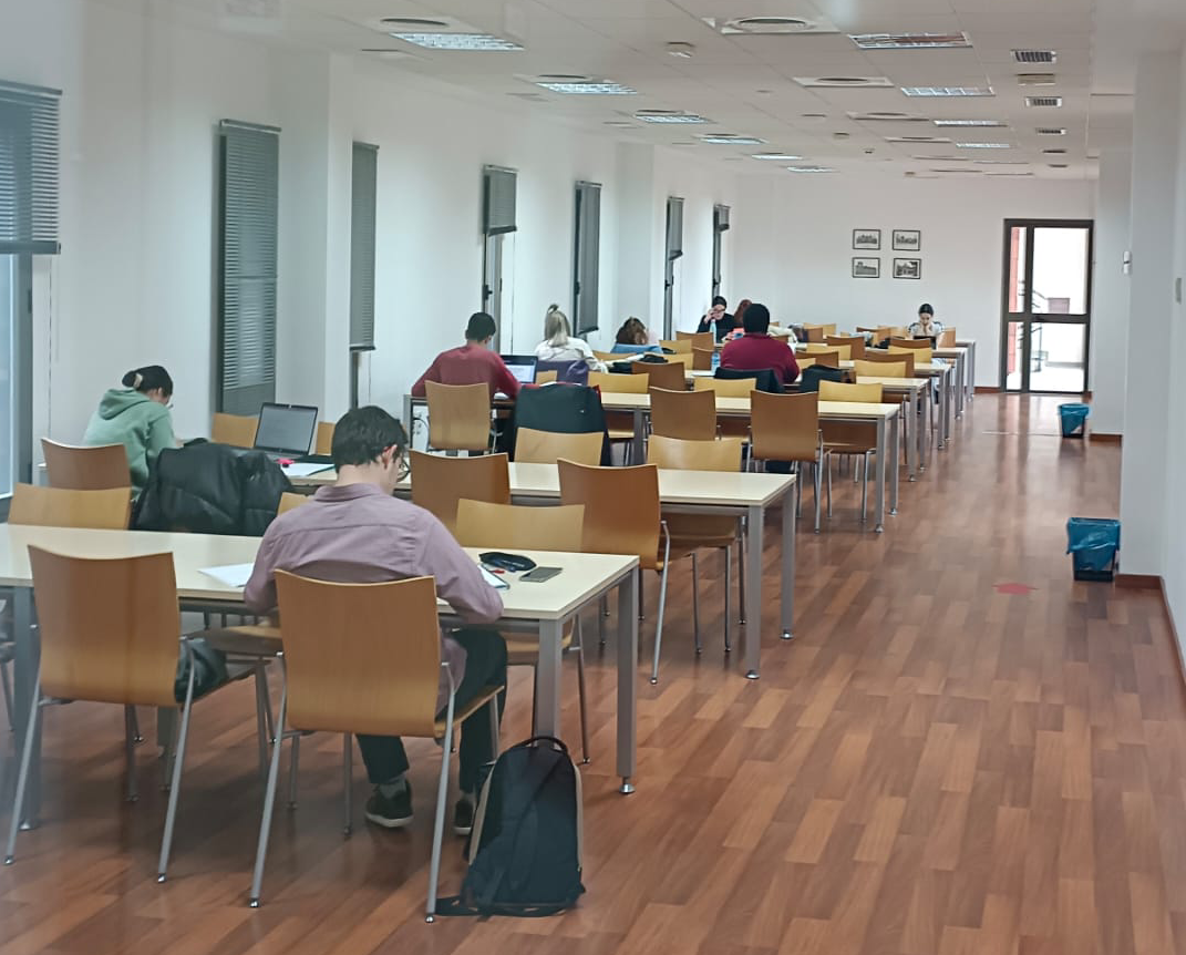 webrrssWhatsApp-Image-2023-01-17-at-10.15.09-2.png_1503503629