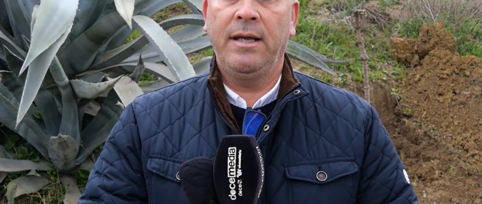 Captura de pantalla 2024-12-13 091936