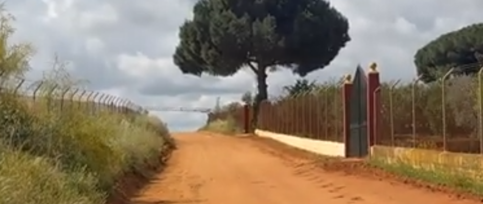 Captura de pantalla 2025-05-06 144712