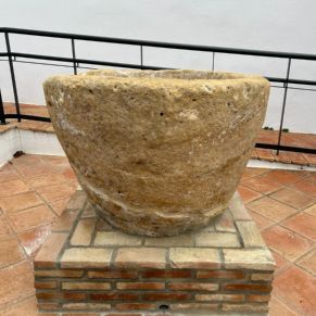 Imagen de WhatsApp 2024-02-06 a las 11.38.16_10ce5e45