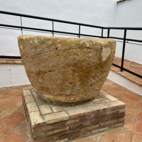 Imagen de WhatsApp 2024-02-06 a las 11.38.16_7fa84ef7