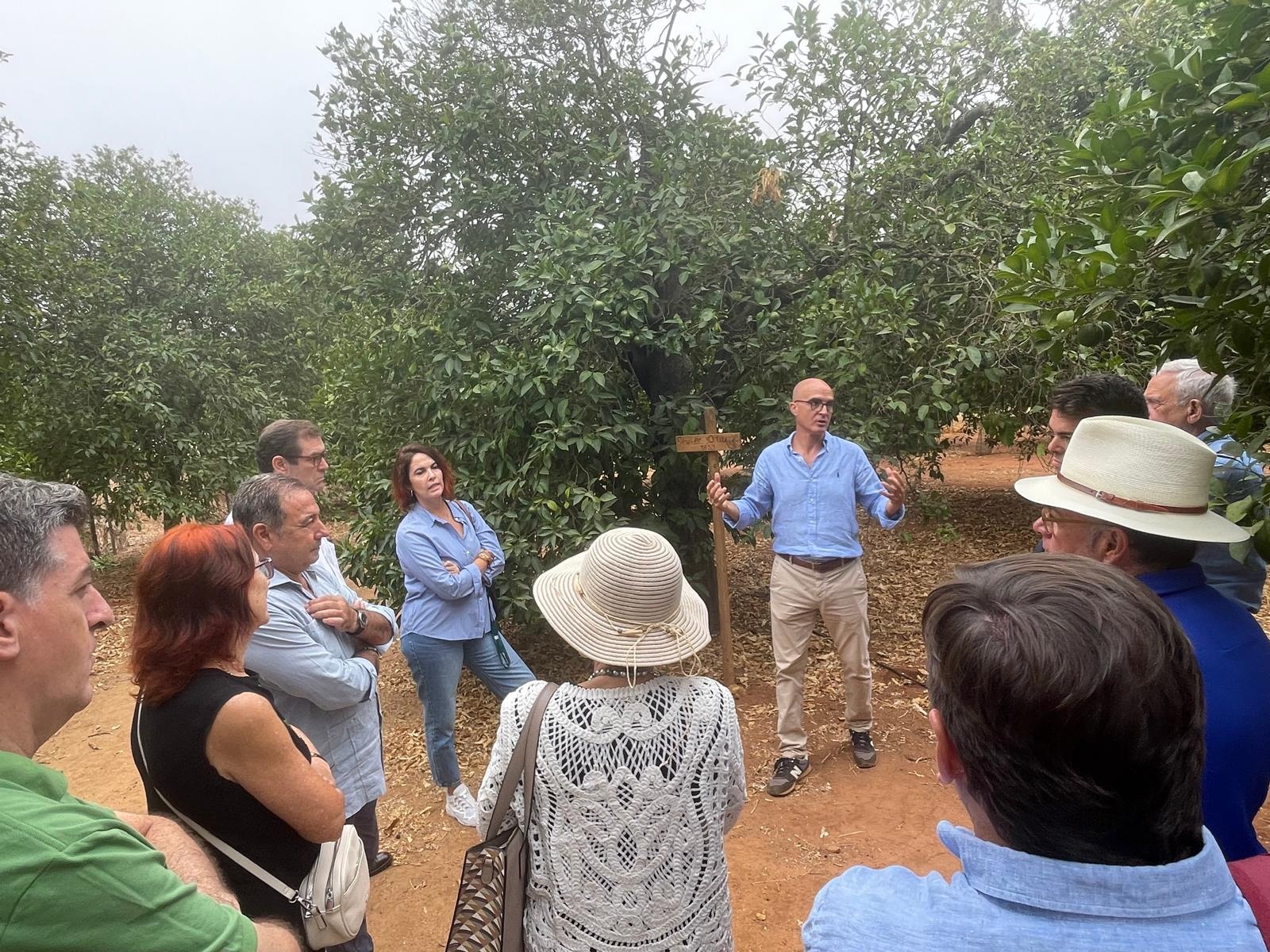 a1207d81-083e-488f-bf2e-daa5bf36c417