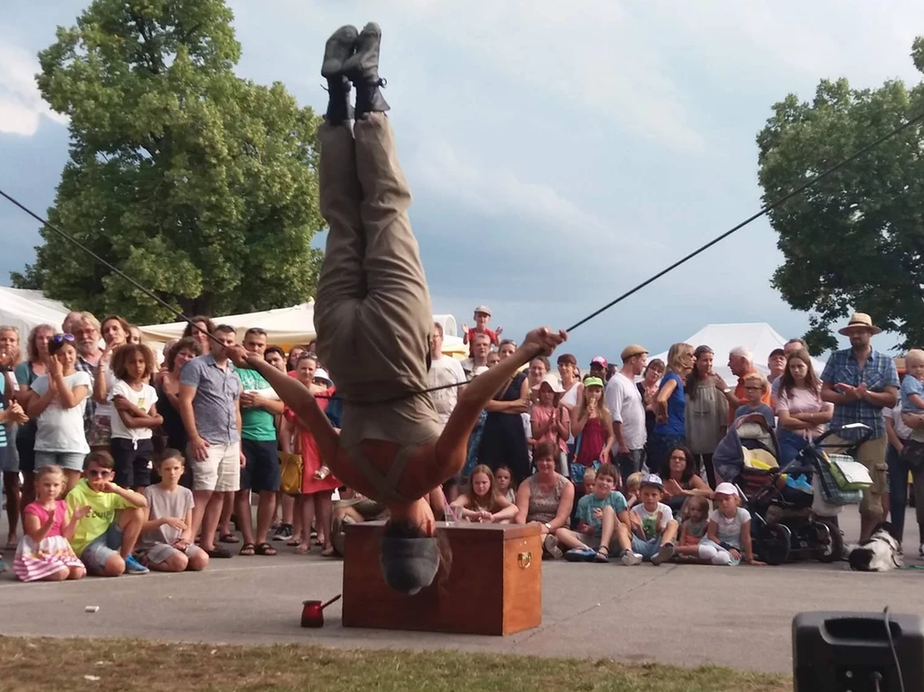 segundadeagosto2022Nimu